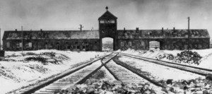 Ouverture des archives nazis : La vérité